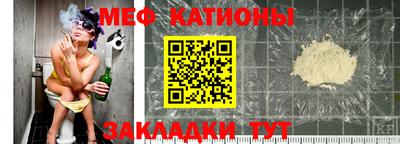 прущие грибы Заводоуковск