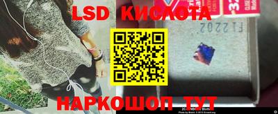 шишки Жуковский