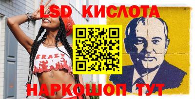 прущие грибы Заводоуковск
