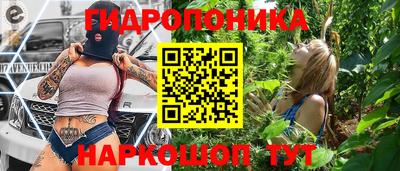 прущие грибы Заводоуковск