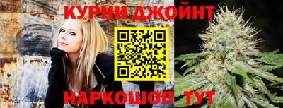 прущие грибы Заводоуковск