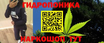 прущие грибы Заводоуковск
