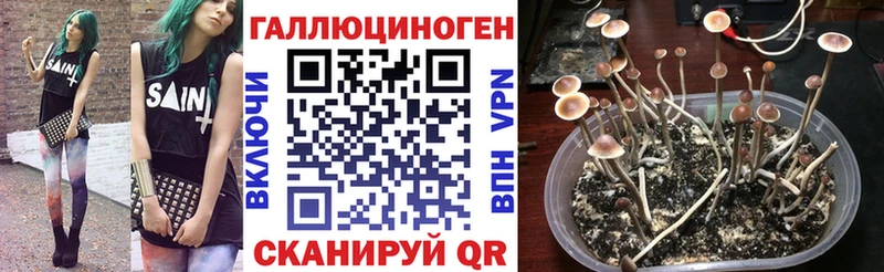 Галлюциногенные грибы мухоморы  Нововоронеж 