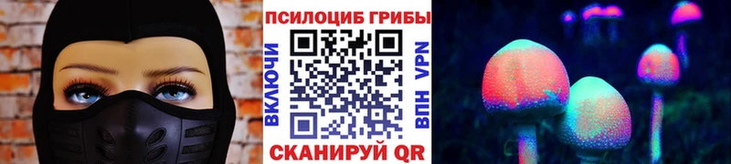 Псилоцибиновые грибы Psilocybine cubensis Нововоронеж